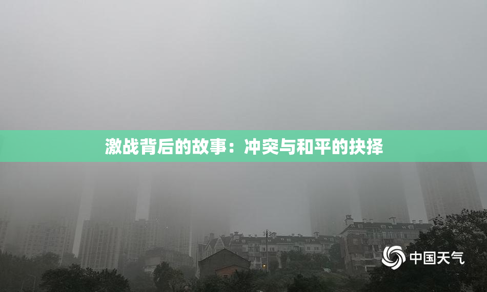 激战背后的故事：冲突与和平的抉择