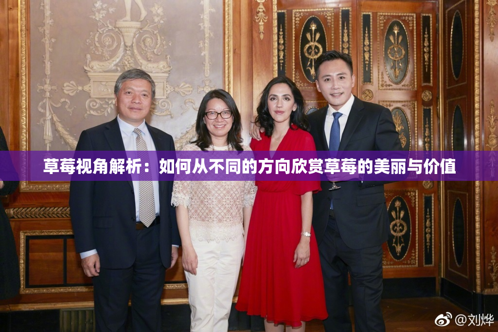 草莓视角解析：如何从不同的方向欣赏草莓的美丽与价值