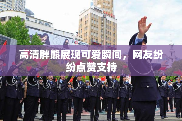 高清胖熊展现可爱瞬间，网友纷纷点赞支持