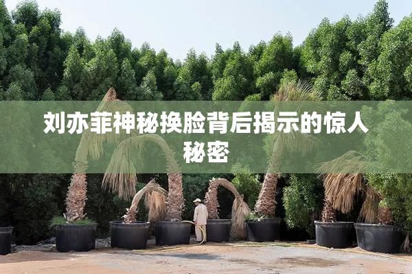 刘亦菲神秘换脸背后揭示的惊人秘密