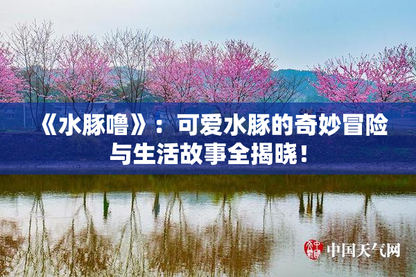《水豚噜》：可爱水豚的奇妙冒险与生活故事全揭晓！