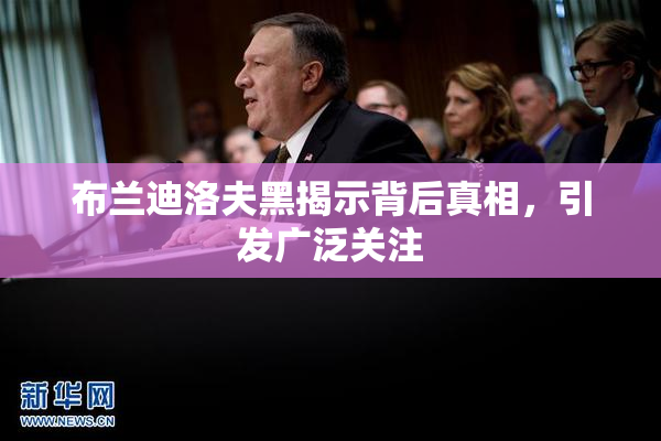 布兰迪洛夫黑揭示背后真相，引发广泛关注