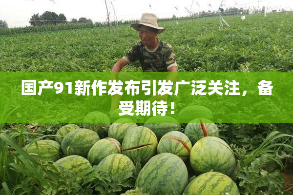 国产91新作发布引发广泛关注，备受期待！