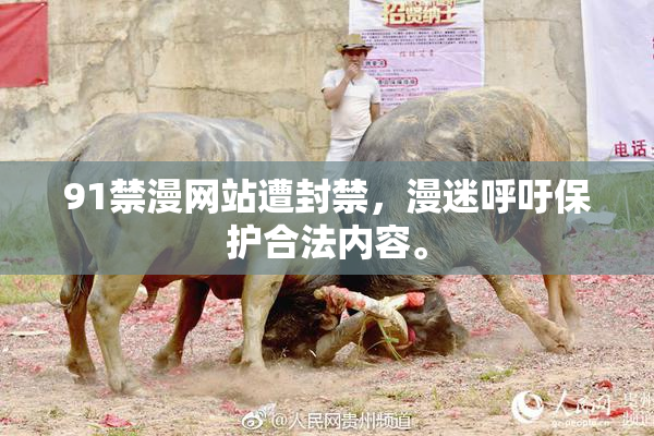 91禁漫网站遭封禁，漫迷呼吁保护合法内容。