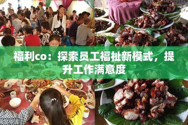 福利co：探索员工福祉新模式，提升工作满意度
