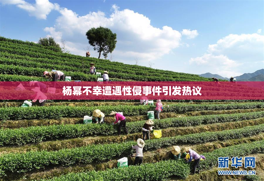 杨幂不幸遭遇性侵事件引发热议