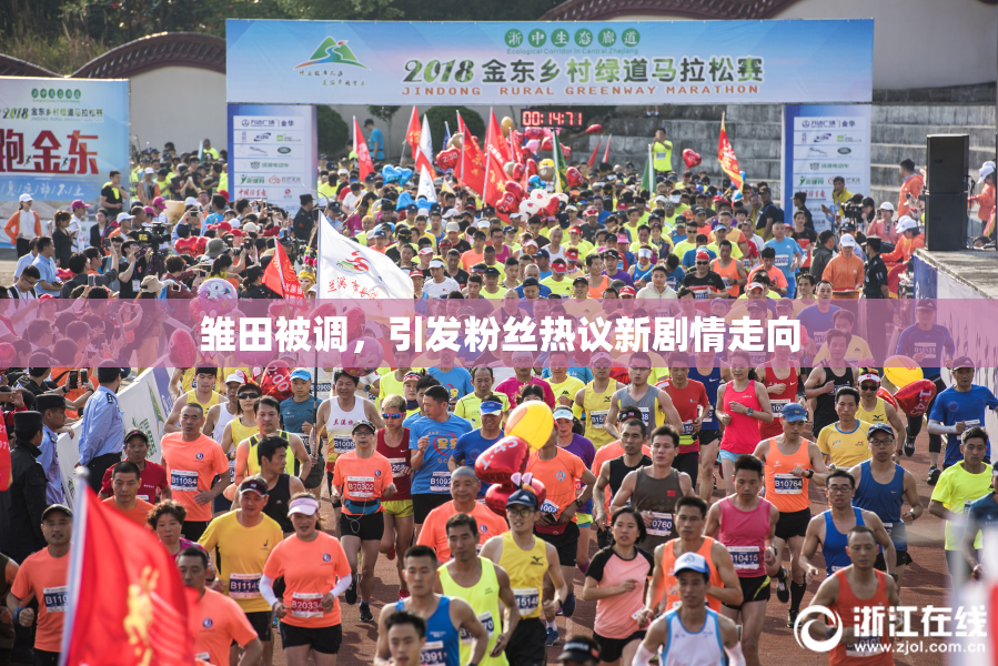 雏田被调，引发粉丝热议新剧情走向