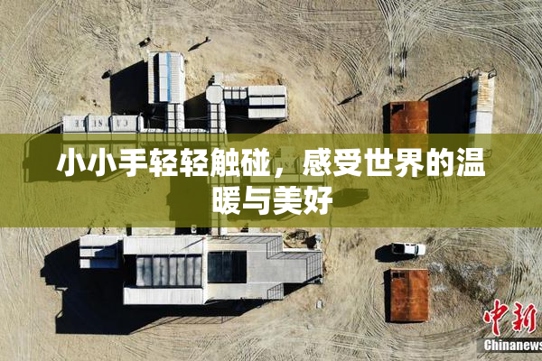 小小手轻轻触碰，感受世界的温暖与美好