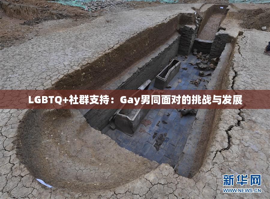 LGBTQ+社群支持：Gay男同面对的挑战与发展