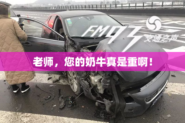 老师，您的奶牛真是重啊！