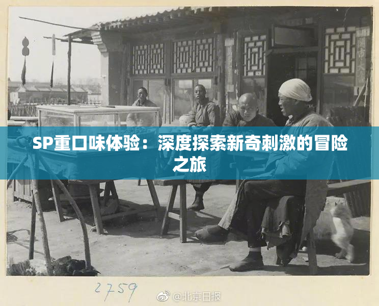 SP重口味体验：深度探索新奇刺激的冒险之旅