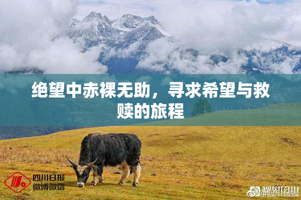 绝望中赤裸无助，寻求希望与救赎的旅程