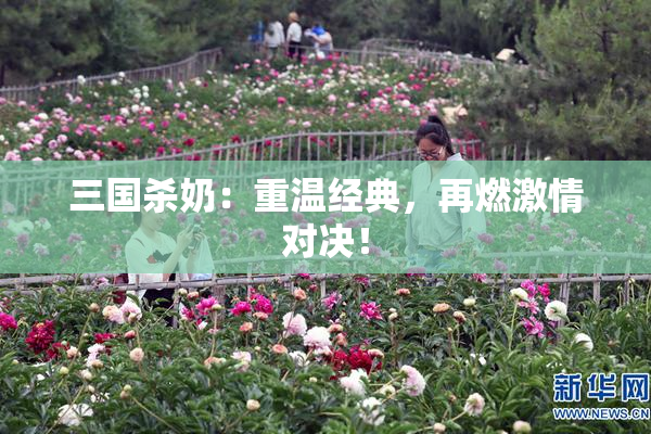 三国杀奶：重温经典，再燃激情对决！