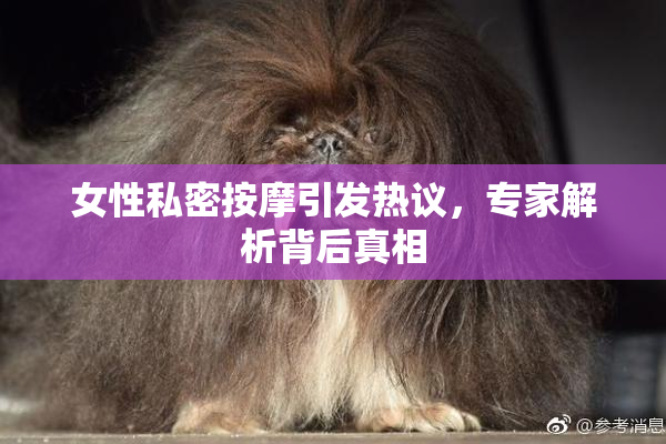 女性私密按摩引发热议，专家解析背后真相