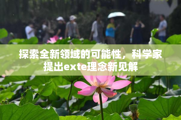探索全新领域的可能性，科学家提出exte理念新见解