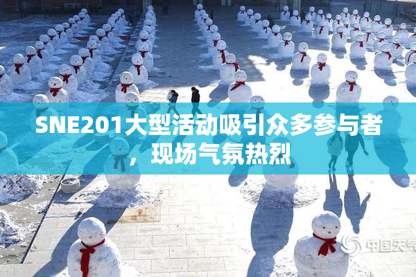 SNE201大型活动吸引众多参与者，现场气氛热烈