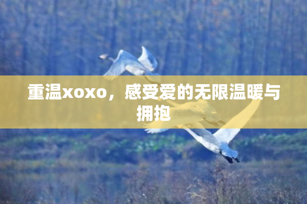 重温xoxo，感受爱的无限温暖与拥抱
