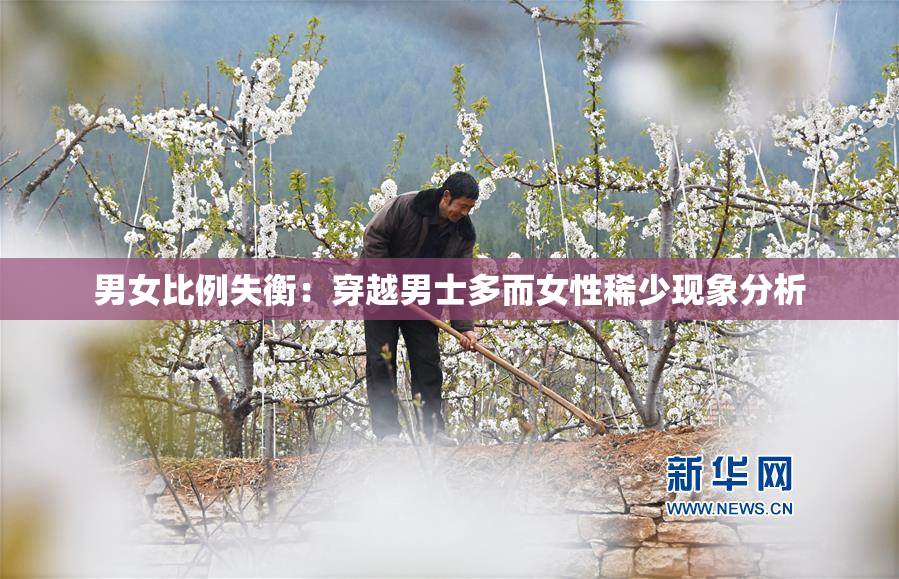 男女比例失衡：穿越男士多而女性稀少现象分析