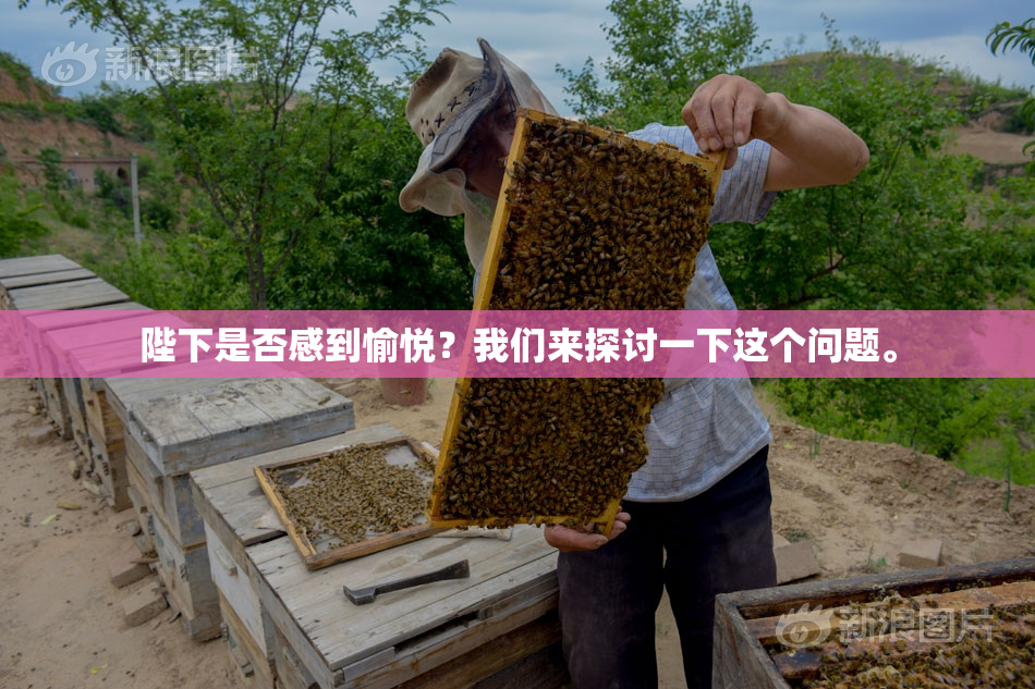陛下是否感到愉悦？我们来探讨一下这个问题。