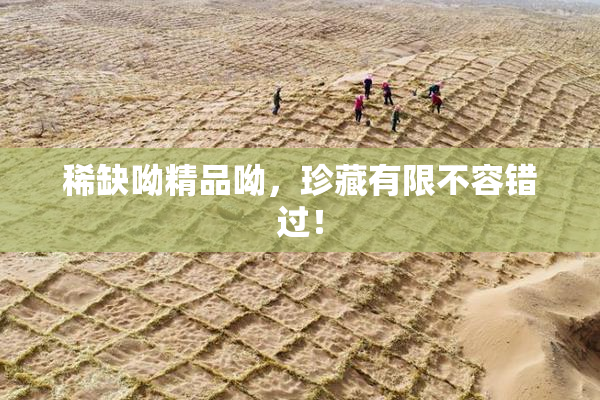 稀缺呦精品呦，珍藏有限不容错过！