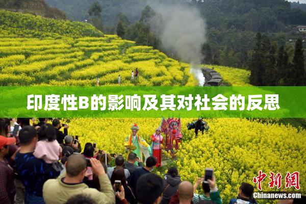 印度性B的影响及其对社会的反思