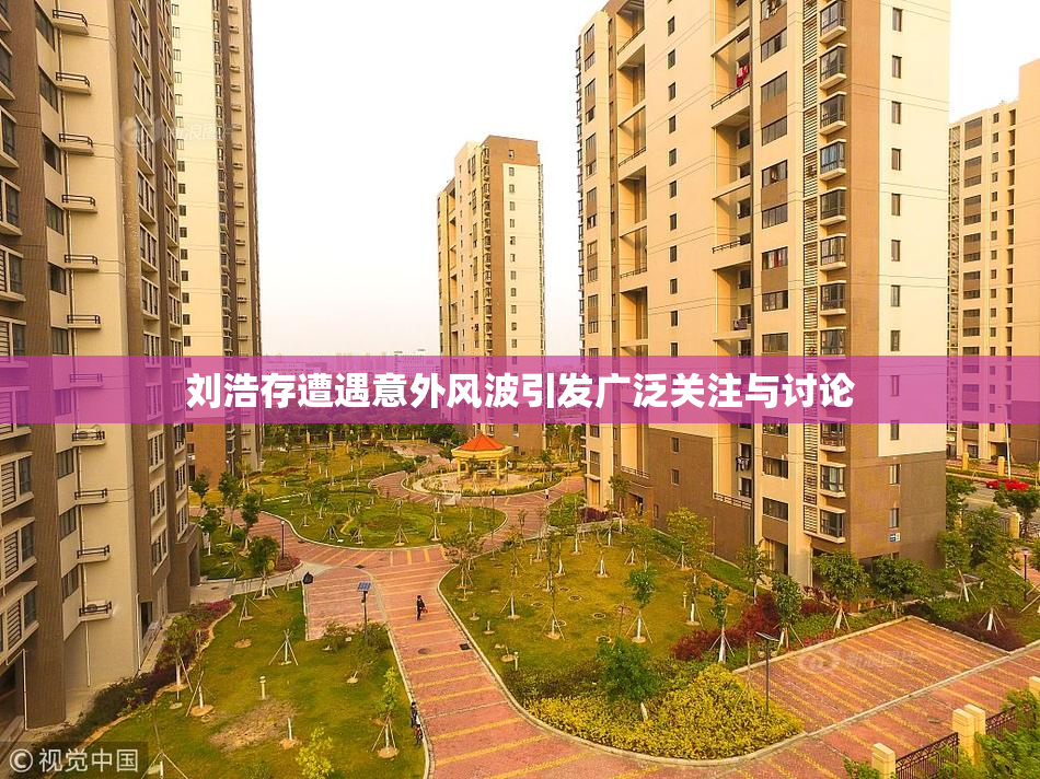 刘浩存遭遇意外风波引发广泛关注与讨论