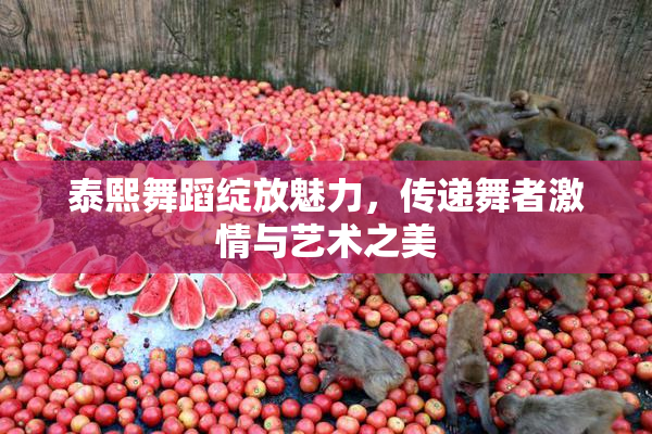 泰熙舞蹈绽放魅力，传递舞者激情与艺术之美
