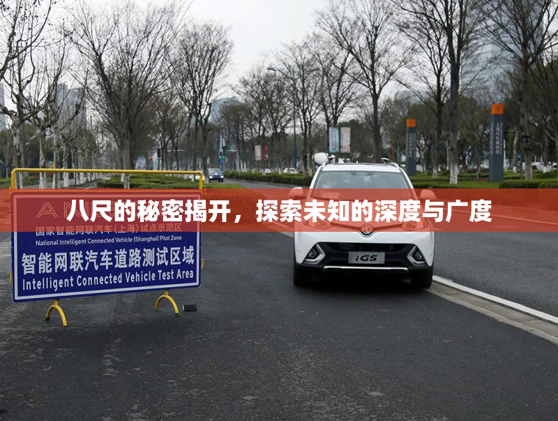 八尺的秘密揭开，探索未知的深度与广度