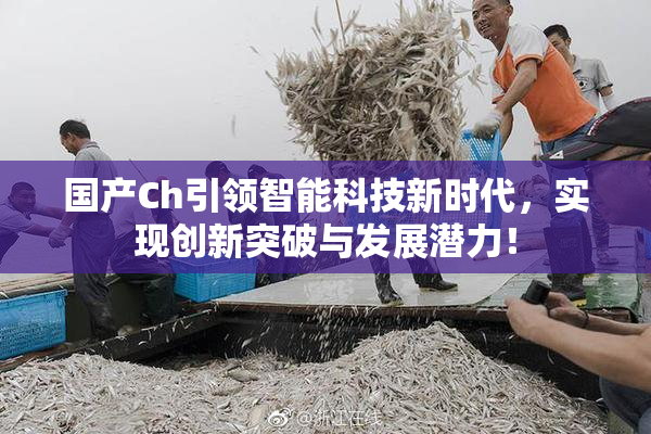 国产Ch引领智能科技新时代，实现创新突破与发展潜力！