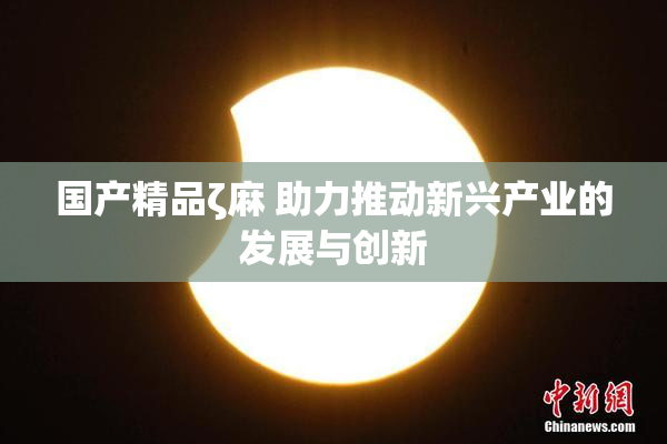 国产精品ζ麻 助力推动新兴产业的发展与创新