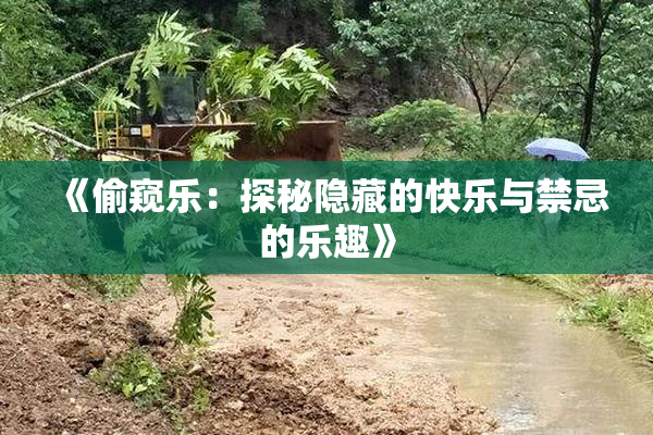 《偷窥乐：探秘隐藏的快乐与禁忌的乐趣》