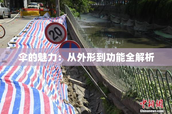 伞的魅力：从外形到功能全解析