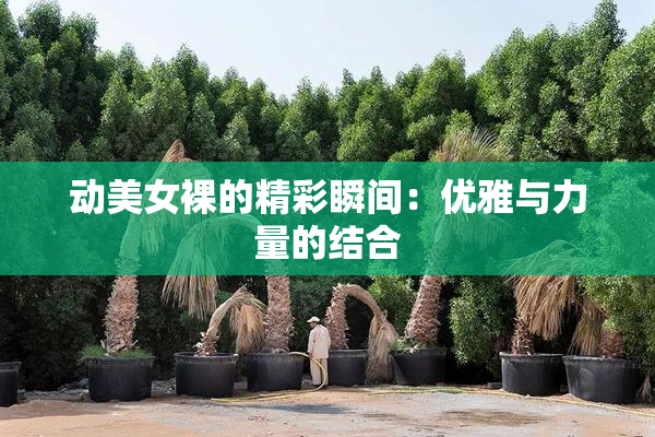 动美女裸的精彩瞬间：优雅与力量的结合