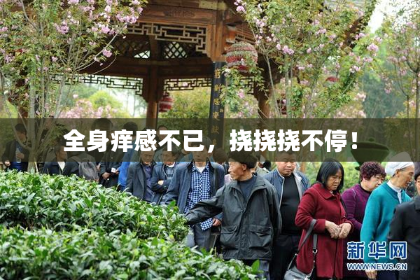 全身痒感不已，挠挠挠不停！