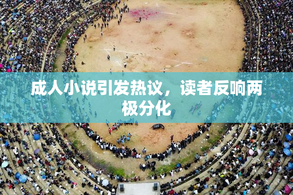 成人小说引发热议，读者反响两极分化