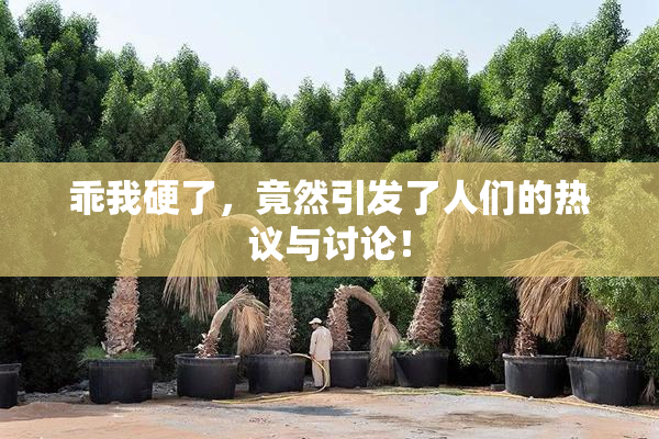 乖我硬了，竟然引发了人们的热议与讨论！