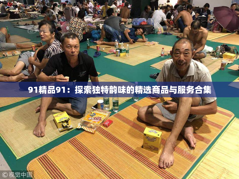 91精品91：探索独特韵味的精选商品与服务合集