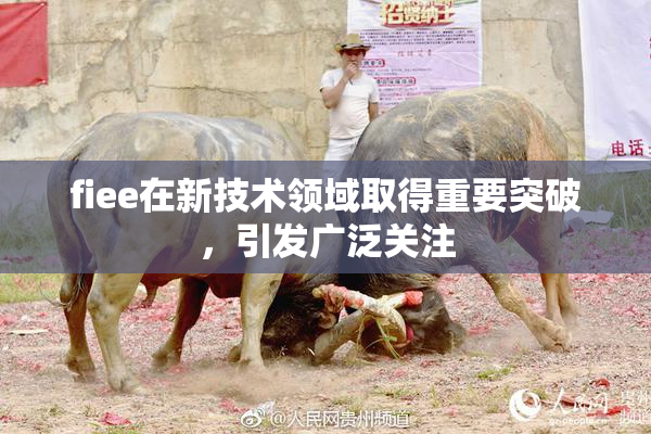 fiee在新技术领域取得重要突破，引发广泛关注