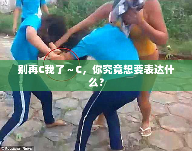 别再C我了～C，你究竟想要表达什么？