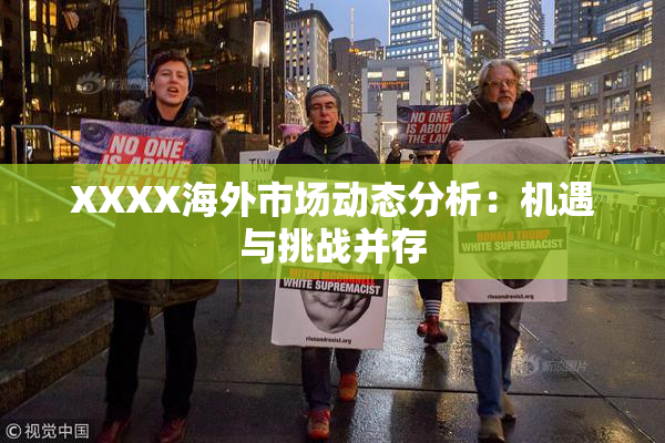 XXXX海外市场动态分析：机遇与挑战并存