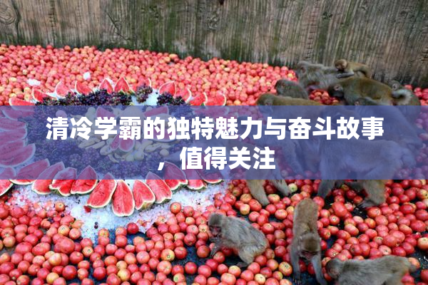 清冷学霸的独特魅力与奋斗故事，值得关注