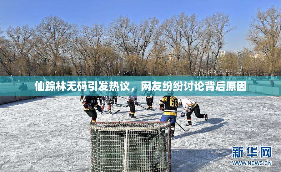 仙踪林无码引发热议，网友纷纷讨论背后原因