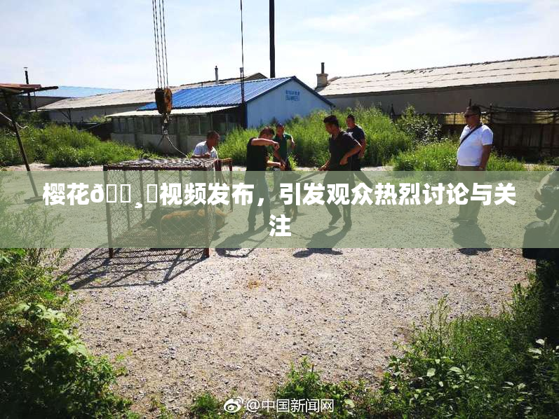 樱花🌸‌视频发布，引发观众热烈讨论与关注