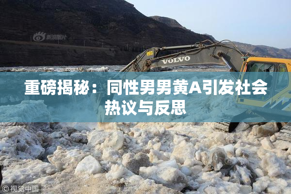 重磅揭秘：同性男男黄A引发社会热议与反思