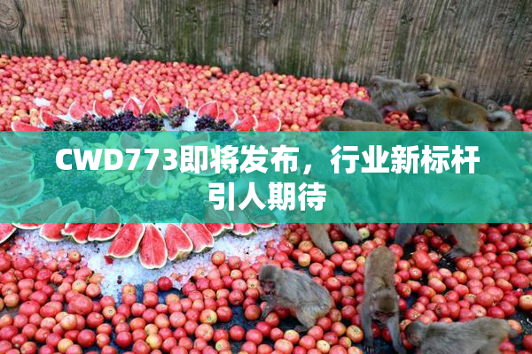 CWD773即将发布，行业新标杆引人期待