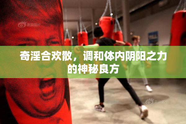 奇淫合欢散，调和体内阴阳之力的神秘良方