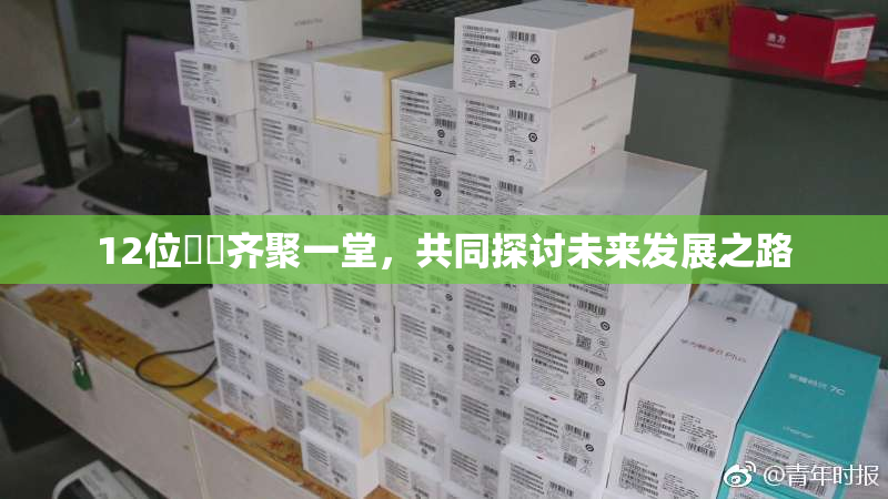 12位妺妺齐聚一堂，共同探讨未来发展之路