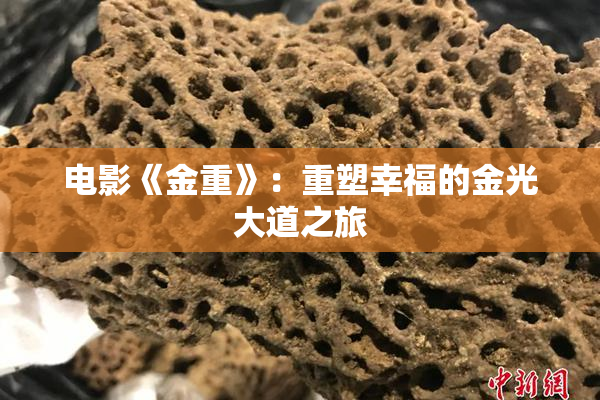 电影《金重》：重塑幸福的金光大道之旅