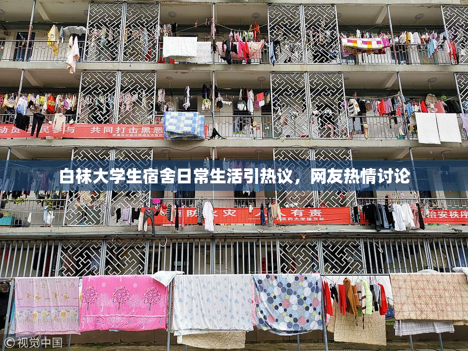白袜大学生宿舍日常生活引热议，网友热情讨论
