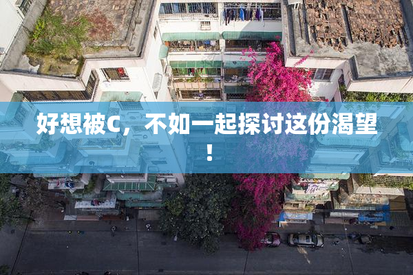 好想被C，不如一起探讨这份渴望！